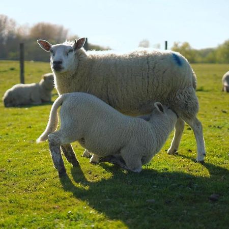 The Byre North End Farm Bed & Breakfast Ashton Keynes ภายนอก รูปภาพ