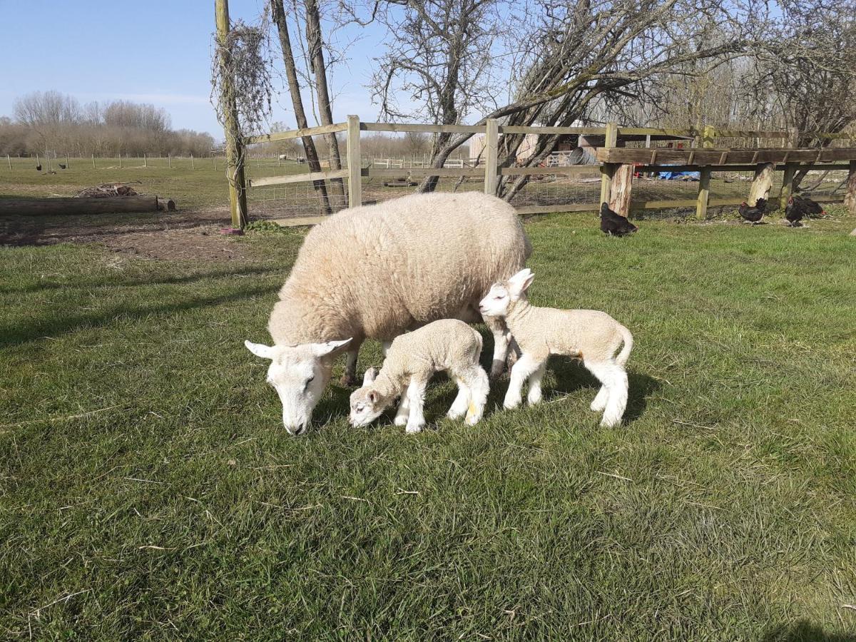 The Byre North End Farm Bed & Breakfast Ashton Keynes ภายนอก รูปภาพ