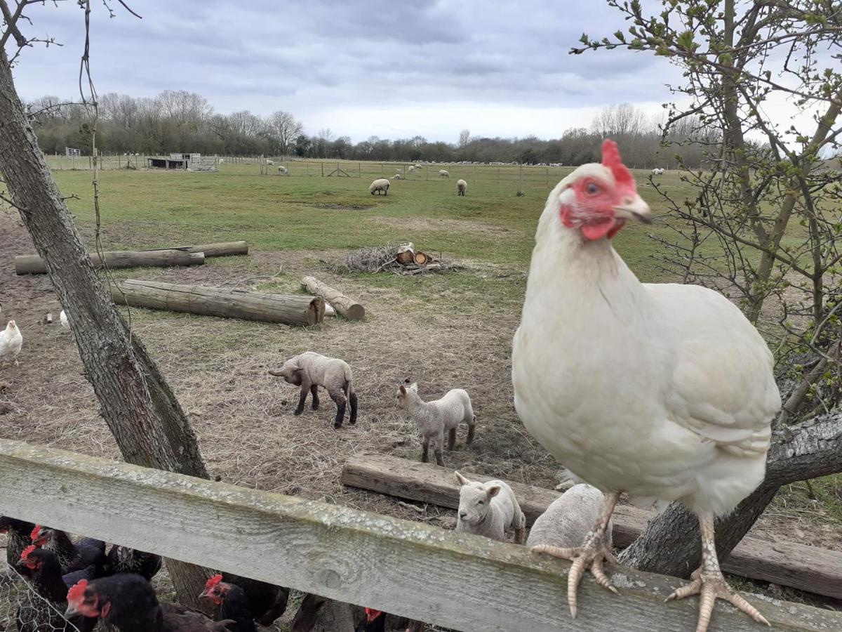 The Byre North End Farm Bed & Breakfast Ashton Keynes ภายนอก รูปภาพ